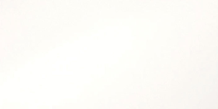 Emser Times Square 12"x24" Matte White