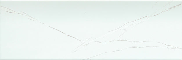 Emser Bimova 8"x24"  Ariston