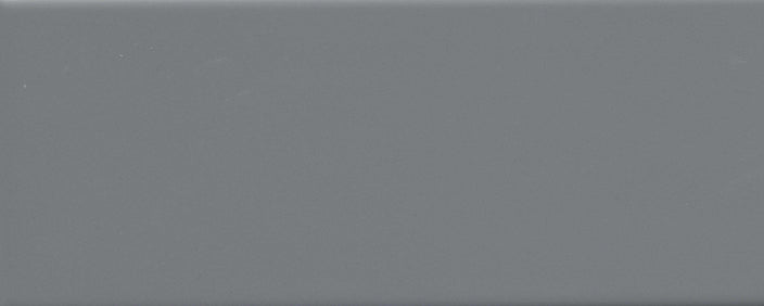 Emser Catch 4"x10" Matte Silicon