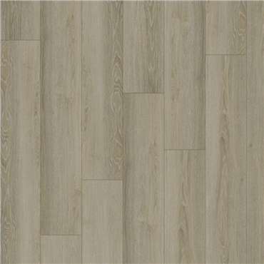 Chesapeake Intown 9" X 60" URBAN WALK