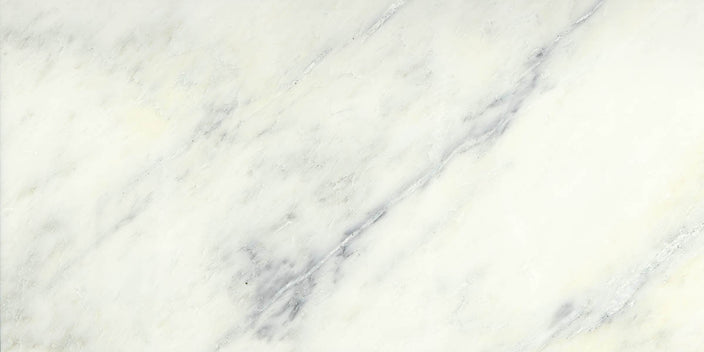Emser Winter Frost 12"x24" Honed Winter frost